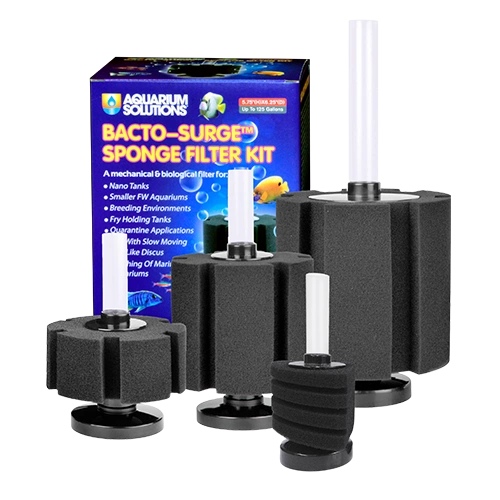 Hikari Bacto-surge Sponge Filter Kit