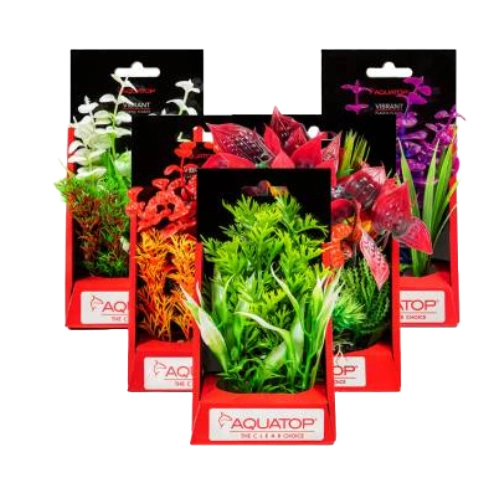 Aquatop 6 Inch Vibrant Wild Plants