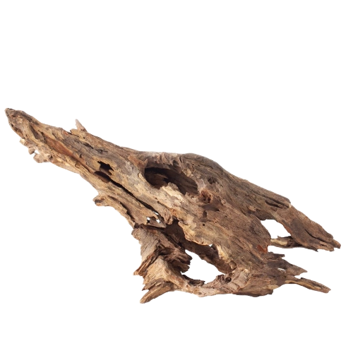 Galapagos Natural Driftwood Hollow Tree Root