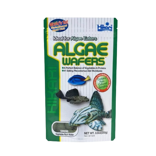 Hikari Algae Wafers